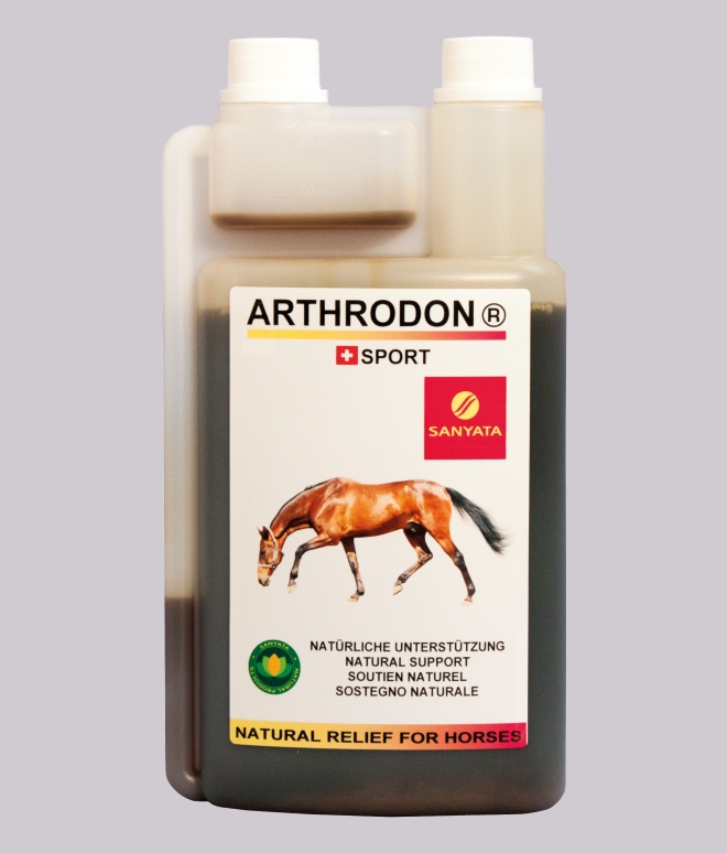 ARTHRODON